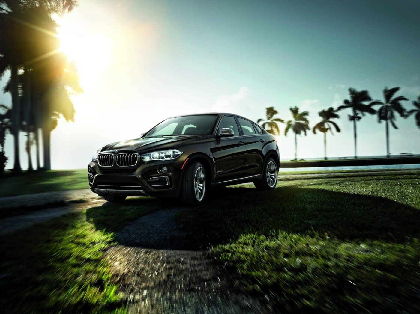 The BMW X6 in a tropical setting, driving near palm trees with a luxurious and commanding road presence.